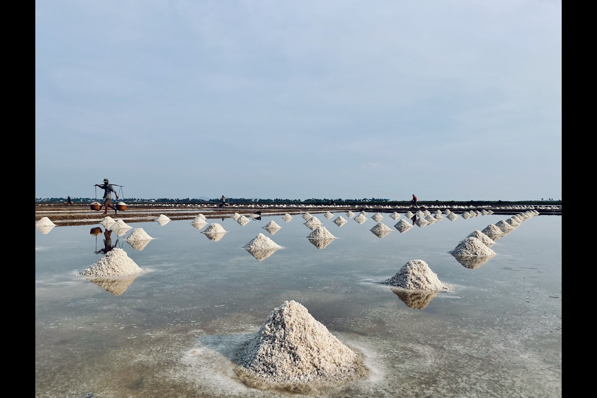 Kampot Salt Field 